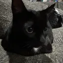 CATCLAKAT'S SERVER
