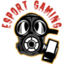 ESPORT GAMING Server Server Icon