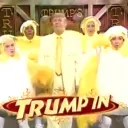 tomjtrump house of wings