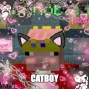 The Catboy Cult