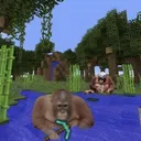 wnyu party