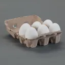 The Carton