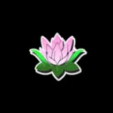Team Lotus | We Will Come Back...