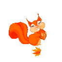 Squirrel's Nest