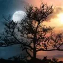 The Dawn Moon ✨