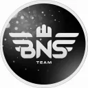 BNS ACADEMY