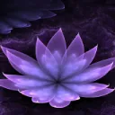 Littlelotus's Garden