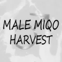 [18+]Male Miqo’te Harvest