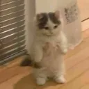 Artifact Traders