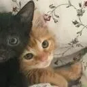 Seized By Unown's icon