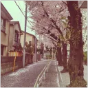 ✨•Kpop Village•✨'s icon