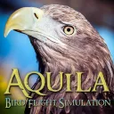 Aquila BFS Development