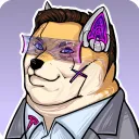 Doge Stars