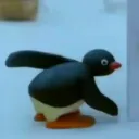 Pingu