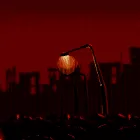 Wasteland — мониторинг Discord сервера, статистика и рейтинг