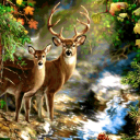 InTheWoods server