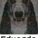 Predregulhão