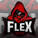 ツ Team Flex