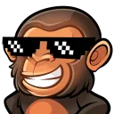 Chimps HQ
