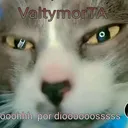 VALTYFAMILIA