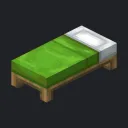 Bed Space