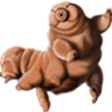 💻 LES TARDIGRADES icon