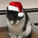 Christmas Games 2021