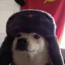 DogCord 🐕