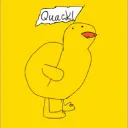 ducknation