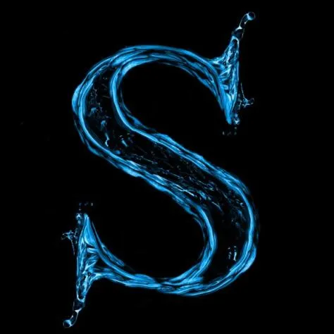 SHEWILL | Bot Project — мониторинг Discord сервера, статистика и рейтинг