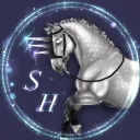 𝐒𝐓𝐎𝐑𝐌  𝐇𝐎𝐑𝐒𝐄𝐒