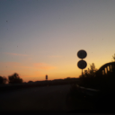 The Wild Community 👅 💲 Discord server icon