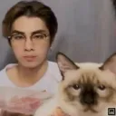 server de gatinho miau