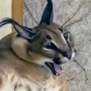 FUCK