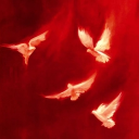 ᯓ ＮＩＲＰ ༉ Discord server icon