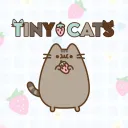 ♡~Tiny Cats~♡