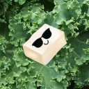 Tofu Town