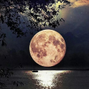 MoonMine