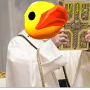 THE DUCK CULT's icon