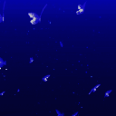 COOKIE'S FAMILY icon