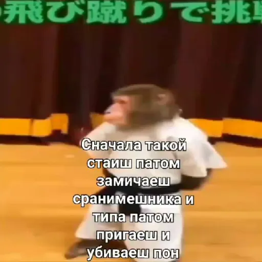 Bros I'm W1nstOn┃ ⫷✅⫸ — мониторинг Discord сервера, статистика и рейтинг