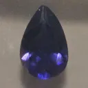 Ｋヘッドの庭