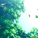 the forest