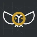 Owl Coding