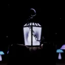 Light in the Dark