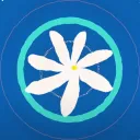 Air Tahiti Nui