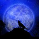 The Wolf Pack server icon
