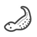 ツチノコの巣