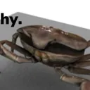 Where The Crabs Went
