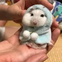 волк
